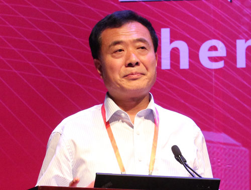 28-ICIS13- forum-wang jianjiang.JPG